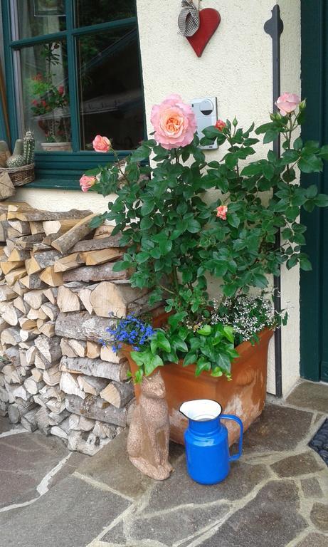 Appartamento Holdhaeusl Schladming Camera foto