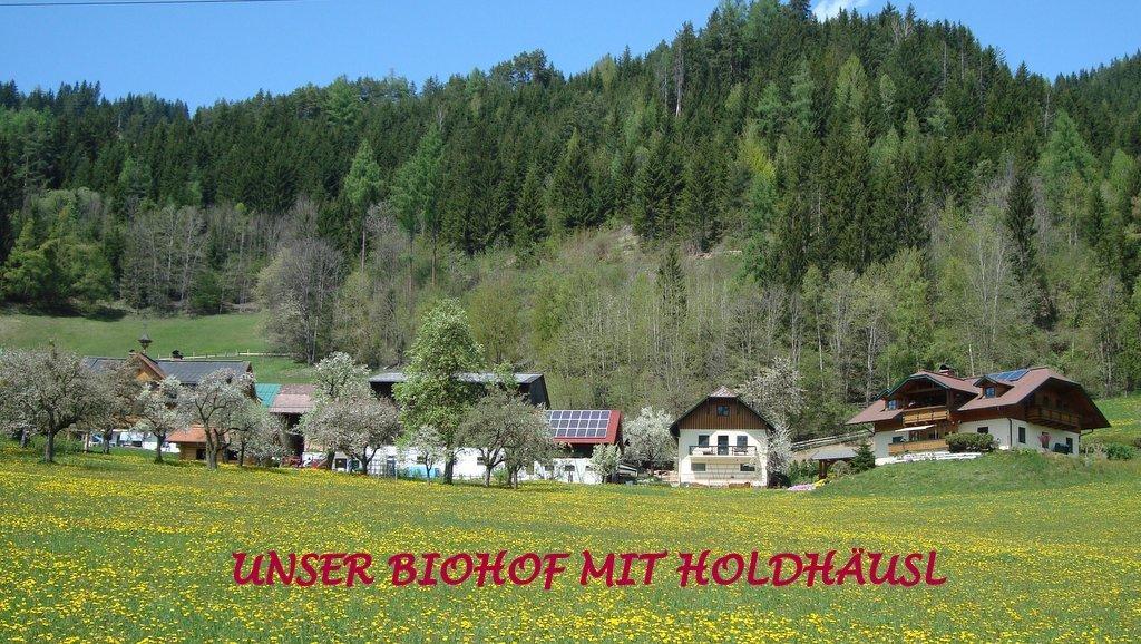 Appartamento Holdhaeusl Schladming Camera foto
