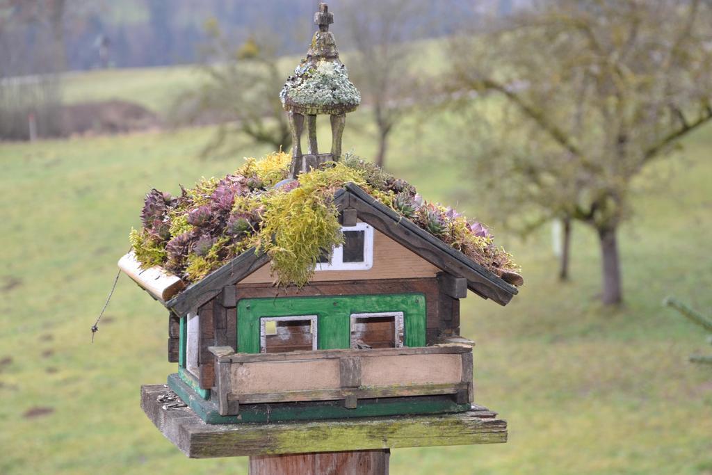 Appartamento Holdhaeusl Schladming Camera foto